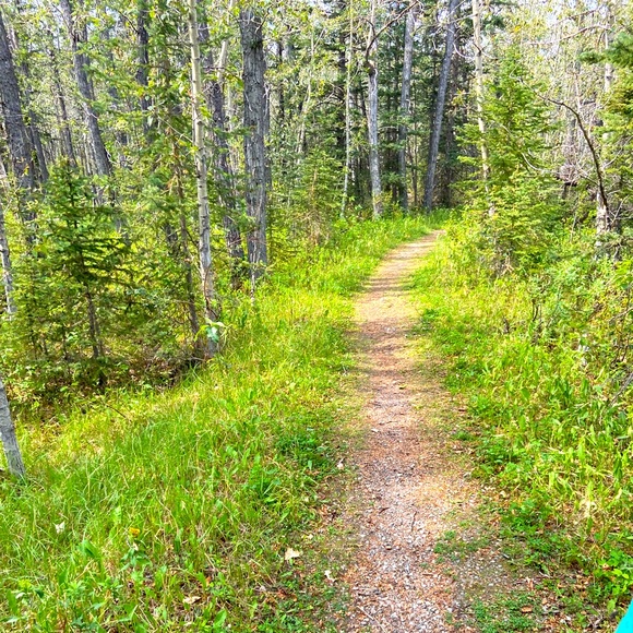 Meet your Posher, K - Picture 1 of 1